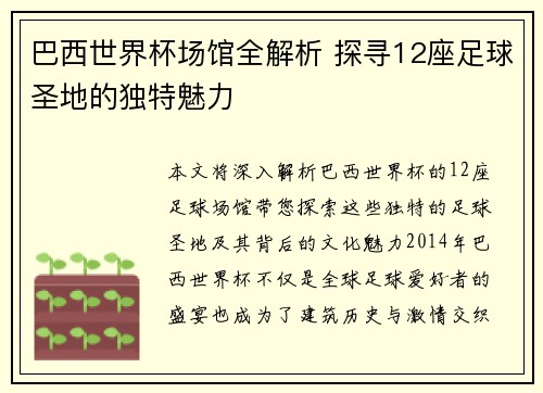 巴西世界杯场馆全解析 探寻12座足球圣地的独特魅力